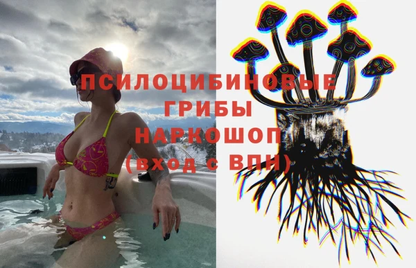 метадон Болхов