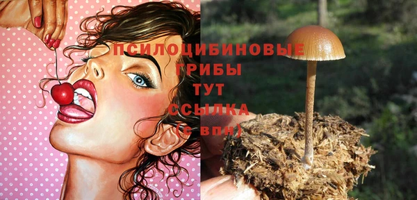 винт Болотное