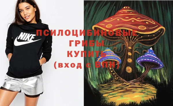 метадон Болхов