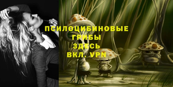 винт Болотное