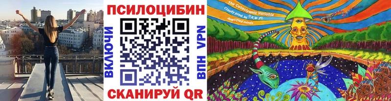 Галлюциногенные грибы Psilocybe darknet формула Ковдор купить наркоту
